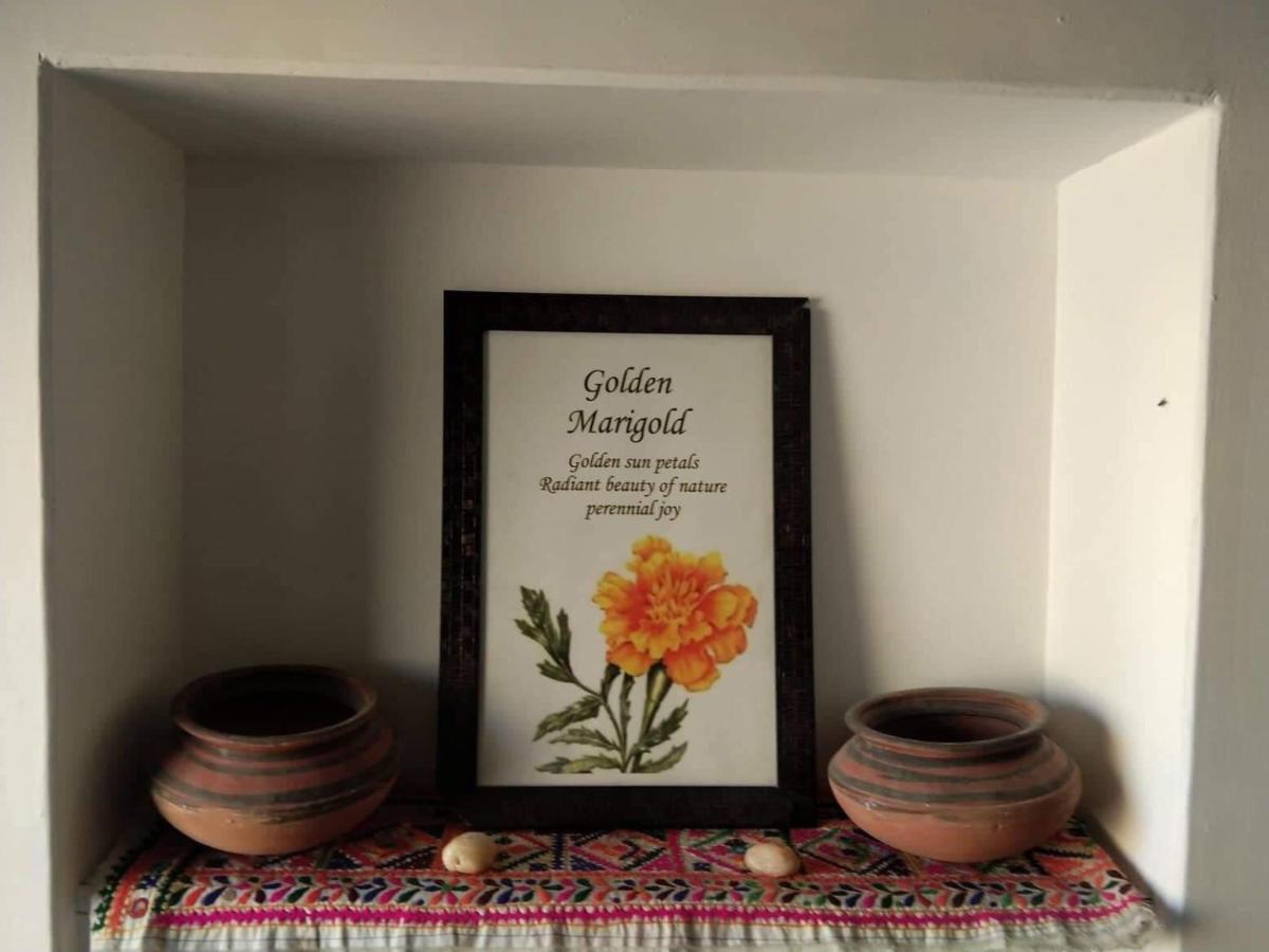 Golden Marigold Hotel Jaisalmer Esterno foto
